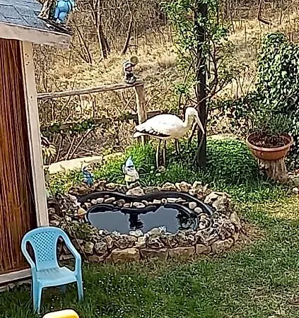 Cà D' Fefi 3* Gorzegno