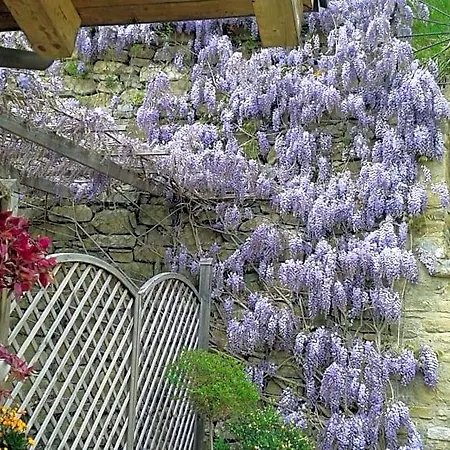 Ca D' Fefi Bed & Breakfast Gorzegno