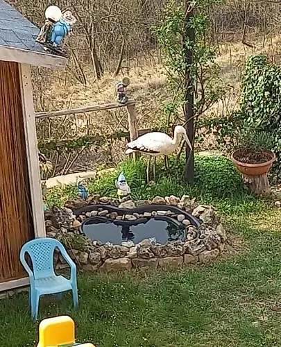 Ca D' Fefi Gorzegno